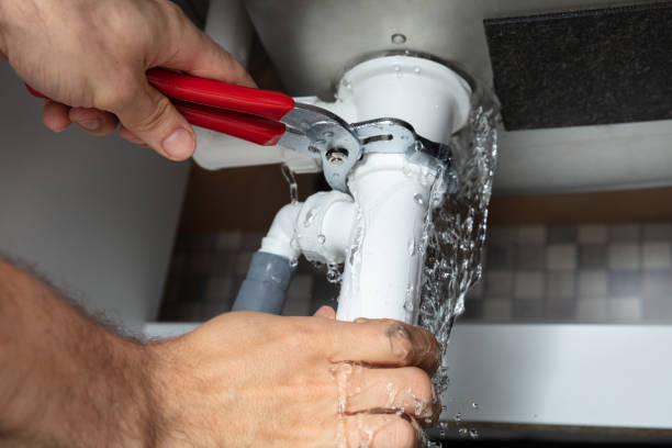 Best Fire Damage Restoration  in Forest Hills, TN