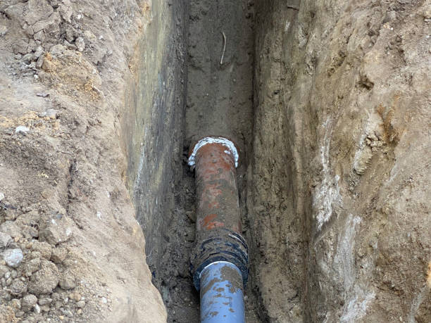 Best Flood restoration services  in Forest Hills, TN