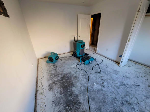 Best Water damage restoration specialists  in Forest Hills, TN
