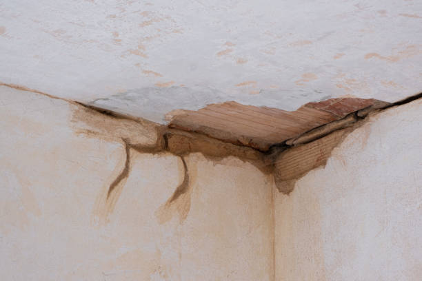 Best Sewage cleanup and water damage restoration  in Forest Hills, TN