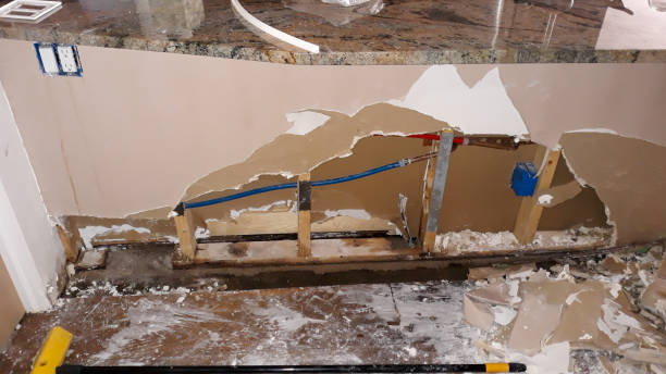 Best 24-hour water damage restoration  in Forest Hills, TN