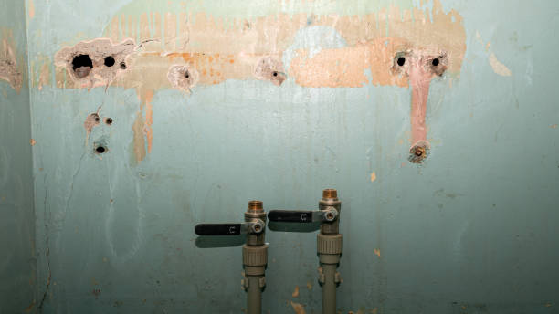 Carpet water damage restoration in TN
