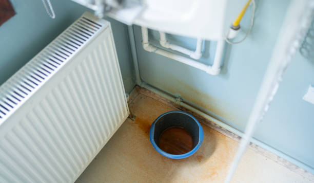 Best Commercial water damage restoration  in Forest Hills, TN